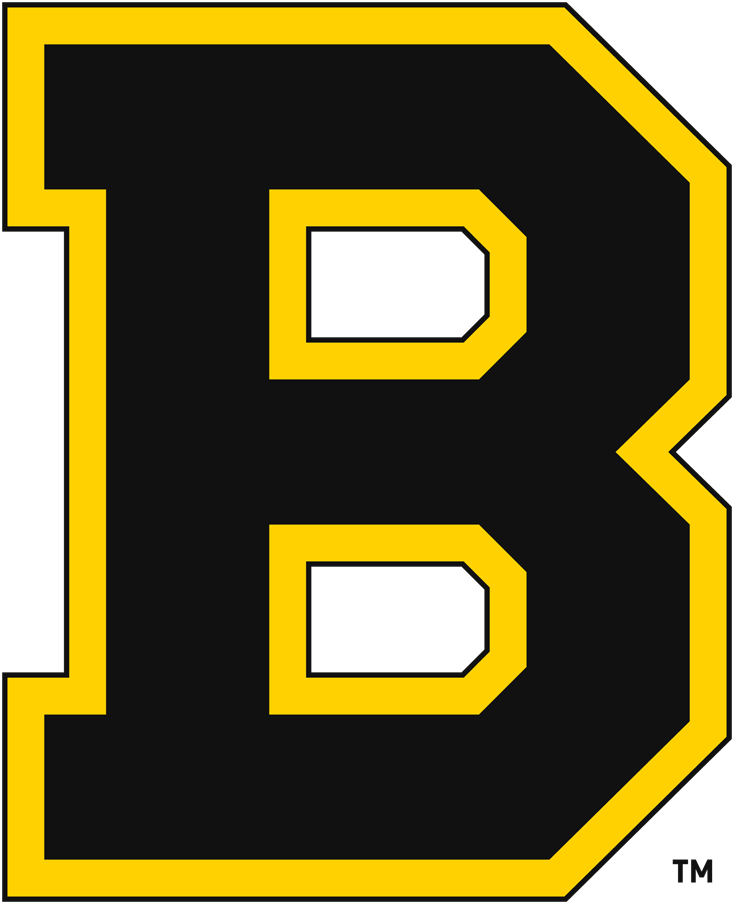 Boston Bruins 1934-1949 Primary Logo iron on heat transfer